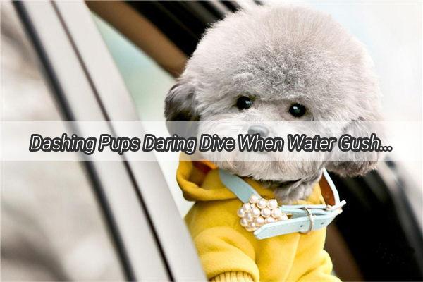 Dashing Pups Daring Dive When Water Gushed into His Eyes  A Heartwarming Tale of Survival and Bravery